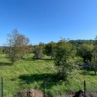Dom na wynajem