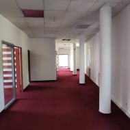 Lokal na wynajem